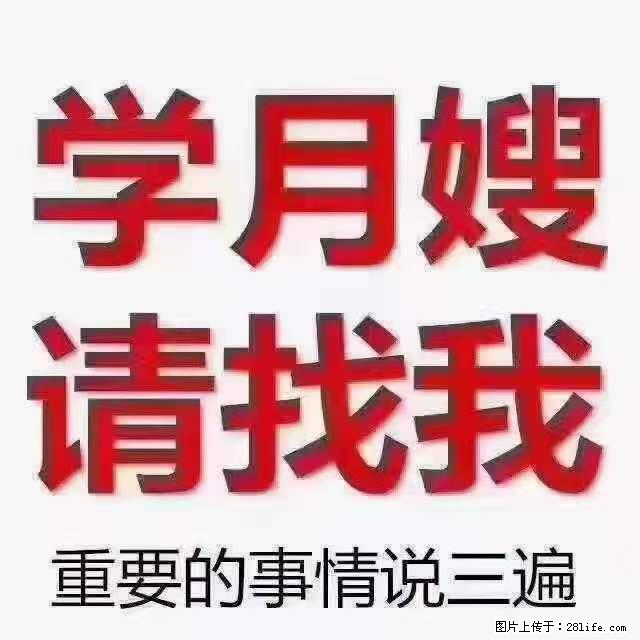 为什么要学习月嫂,育婴师? - 其他广告 - 广告专区 - 晋城分类信息 - 晋城28生活网 jincheng.28life.com