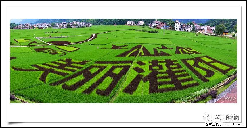 【春天,广西桂林灌阳县向您发出邀请!】开篇 - 游山玩水 - 晋城生活社区 - 晋城28生活网 jincheng.28life.com