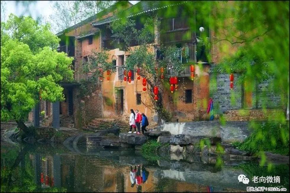【春天,广西桂林灌阳县向您发出邀请!】江口老街又逢春 - 游山玩水 - 晋城生活社区 - 晋城28生活网 jincheng.28life.com
