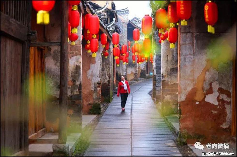 【春天,广西桂林灌阳县向您发出邀请!】江口老街又逢春 - 游山玩水 - 晋城生活社区 - 晋城28生活网 jincheng.28life.com