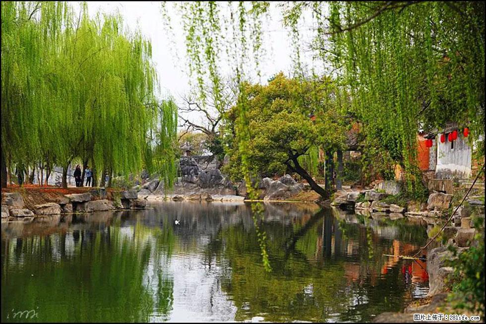 【春天,广西桂林灌阳县向您发出邀请!】江口老街又逢春 - 游山玩水 - 晋城生活社区 - 晋城28生活网 jincheng.28life.com