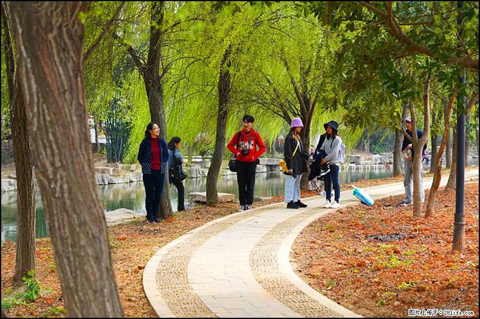 【春天,广西桂林灌阳县向您发出邀请!】江口老街又逢春 - 游山玩水 - 晋城生活社区 - 晋城28生活网 jincheng.28life.com