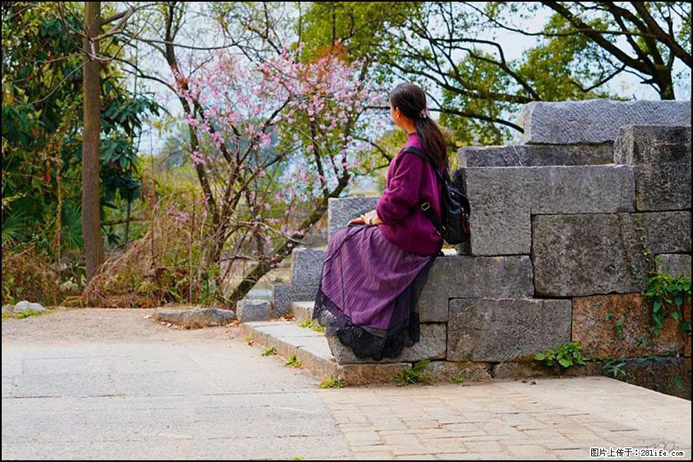 【春天,广西桂林灌阳县向您发出邀请!】江口老街又逢春 - 游山玩水 - 晋城生活社区 - 晋城28生活网 jincheng.28life.com