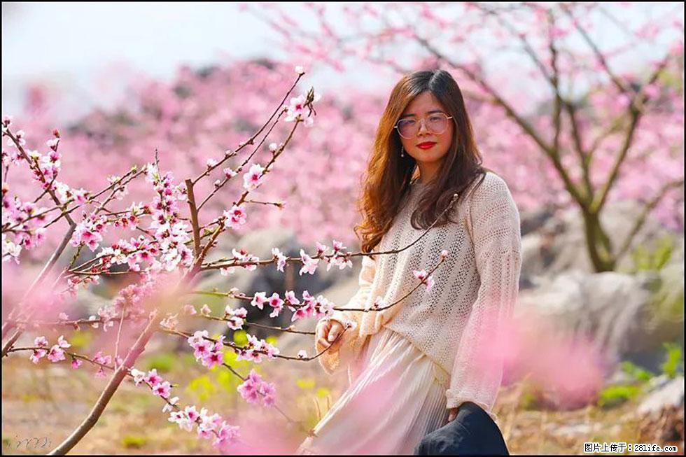 【春天,广西桂林灌阳县向您发出邀请!】望月岭上桃花开 - 游山玩水 - 晋城生活社区 - 晋城28生活网 jincheng.28life.com