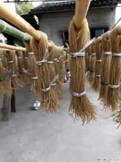 【灌阳正宗红薯粉】美女家里自己做的，干净卫生，假一赔十，价格合理，抢购电话：13737312895 - 晋城28生活网 jincheng.28life.com