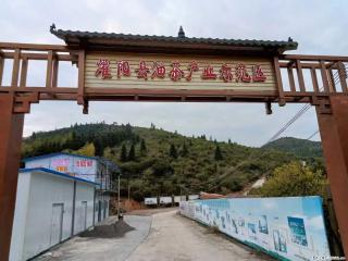 【灌阳县油茶产业示范区】一个有着充实的精神生活的人，对待身外之物自会有一种淡泊的态度 - 晋城28生活网 jincheng.28life.com