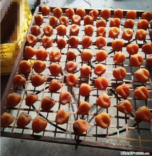 广西桂林平乐桥亭【柿饼之乡】2025年纯手工制作、无任何添加剂的第一批柿饼准备上市了，欢迎联系订购！ - 晋城28生活网 jincheng.28life.com