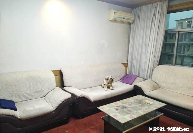 国贸附近家具家电齐全 临近老师范 看房方便 - 房屋出租 - 房屋租售 - 晋城分类信息 - 晋城28生活网 jincheng.28life.com