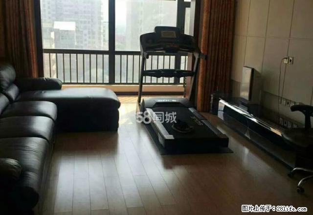 金太阳附近,精装三室,拎包入住, - 房屋出租 - 房屋租售 - 晋城分类信息 - 晋城28生活网 jincheng.28life.com