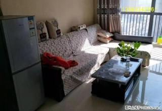 爱物学校附近，温馨两居室，家具家电齐全，领包入住 - 晋城28生活网 jincheng.28life.com