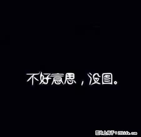 开发区凤东小区温馨三室 价格低廉 欢迎来约 手慢无 - 房屋出租 - 房屋租售 - 晋城分类信息 - 晋城28生活网 jincheng.28life.com