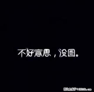 开发区凤东小区温馨三室 价格低廉 欢迎来约 手慢无 - 晋城28生活网 jincheng.28life.com