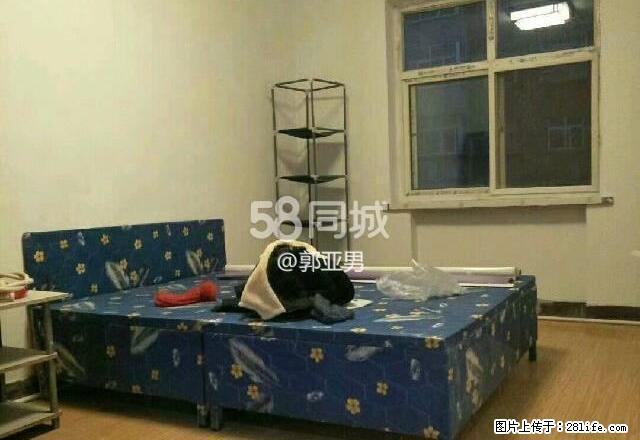 文体宫 2室1厅1卫 - 房屋出租 - 房屋租售 - 晋城分类信息 - 晋城28生活网 jincheng.28life.com