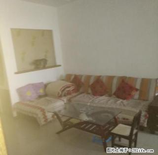 (单间出租)高平二中附近3室1厅90平米中等装修 - 晋城28生活网 jincheng.28life.com