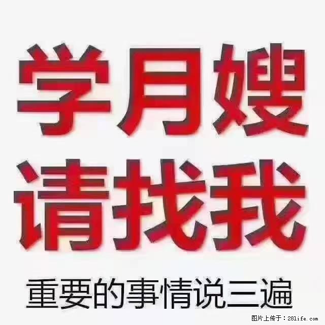 【招聘】月嫂，上海徐汇区 - 职场交流 - 晋城生活社区 - 晋城28生活网 jincheng.28life.com