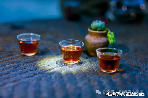 时间果百年古树2025年春红茶 - 购物交流 - 晋城生活社区 - 晋城28生活网 jincheng.28life.com