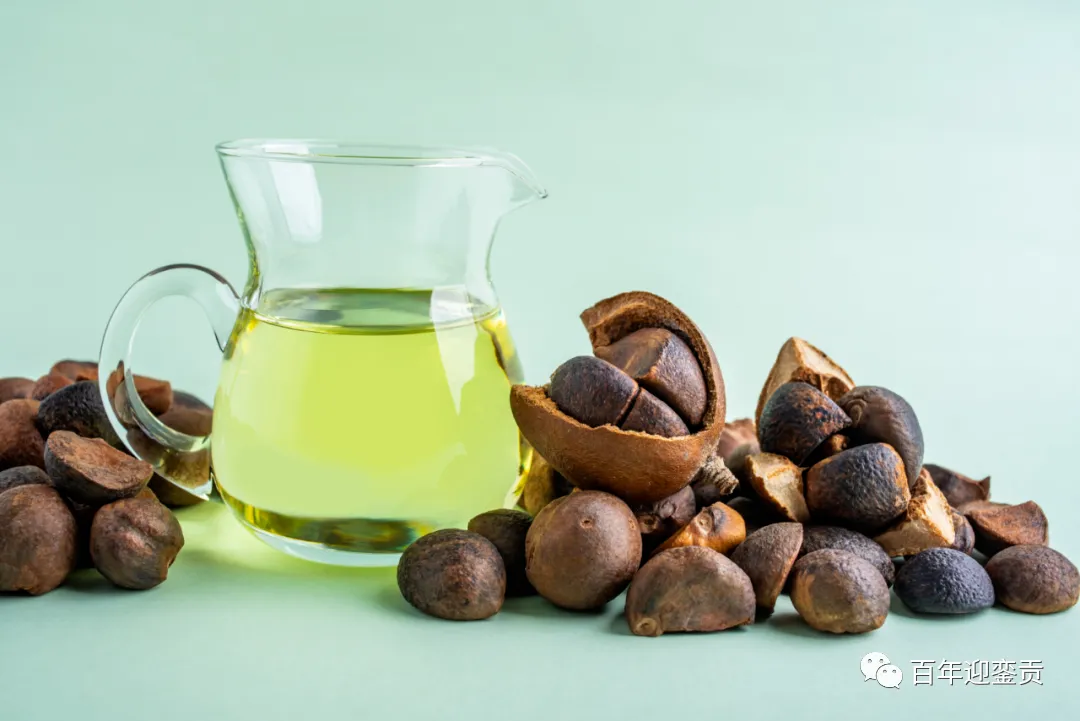世界没有真相,只有认知,最好的食用油是中国的山茶油! - 晋城生活资讯 - 晋城28生活网 jincheng.28life.com