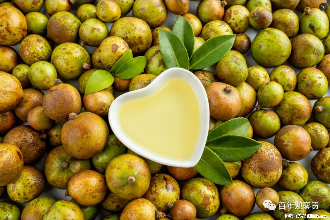 世界没有真相,只有认知,最好的食用油是中国的山茶油! - 晋城生活资讯 - 晋城28生活网 jincheng.28life.com