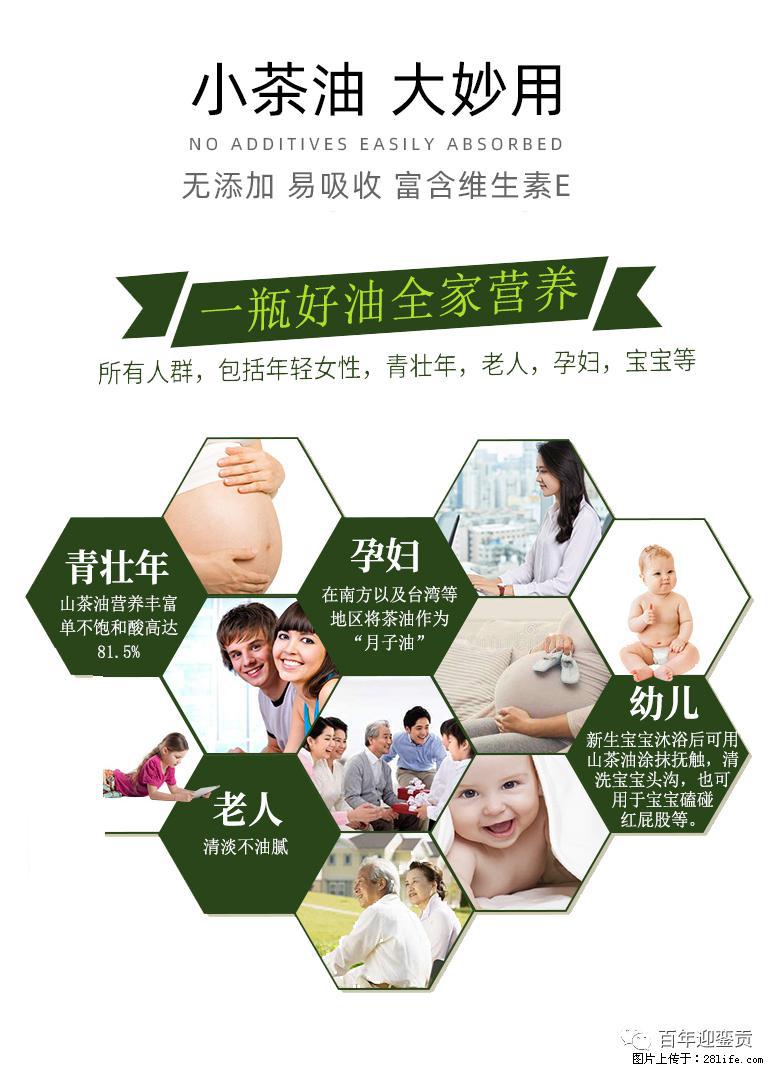 世界没有真相,只有认知,最好的食用油是中国的山茶油! - 晋城生活资讯 - 晋城28生活网 jincheng.28life.com