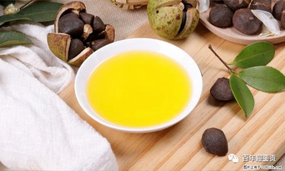 世界没有真相,只有认知,最好的食用油是中国的山茶油! - 晋城生活资讯 - 晋城28生活网 jincheng.28life.com