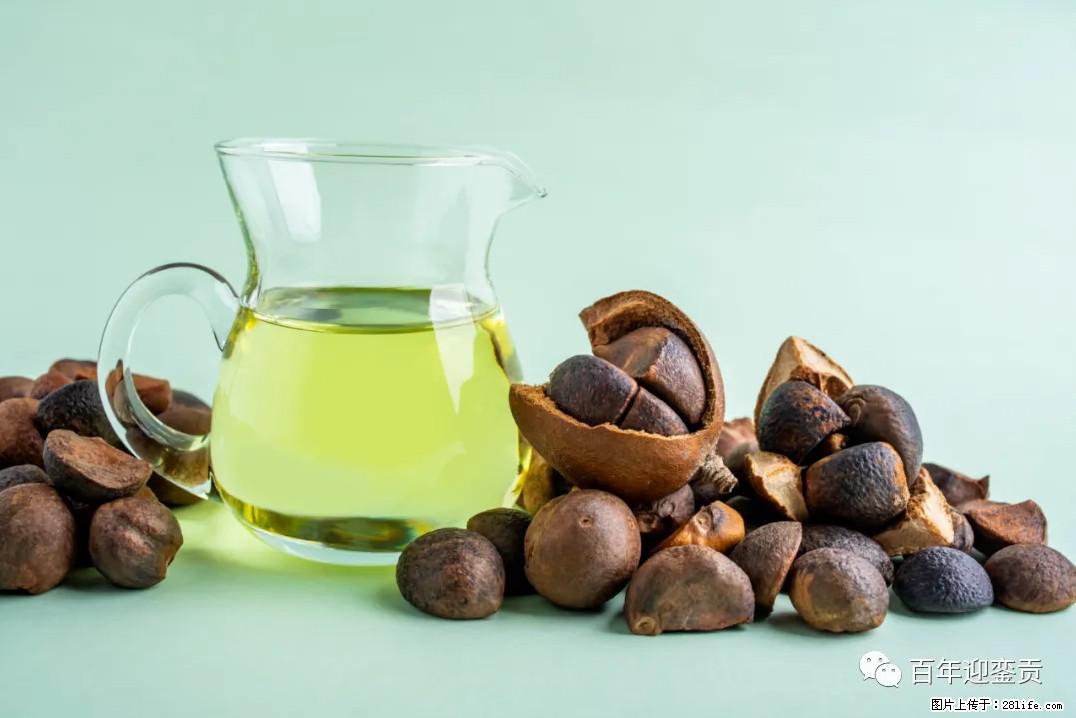 世界没有真相，只有认知，最好的食用油是中国的山茶油！ - 晋城生活资讯 - 晋城28生活网 jincheng.28life.com