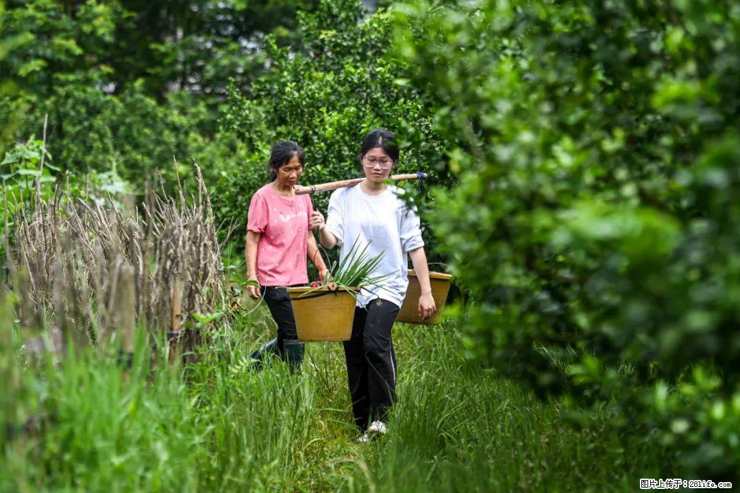 全网追的“扁担女孩”,找了一份暑假工,时薪12元 - 晋城生活资讯 - 晋城28生活网 jincheng.28life.com