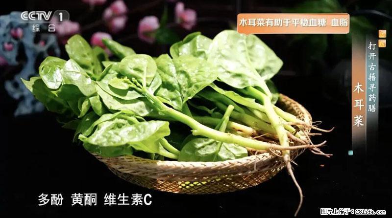 比牛奶补钙还厉害!凉血解毒、稳血糖...这菜冬天必吃,很多人却当草 - 晋城生活资讯 - 晋城28生活网 jincheng.28life.com