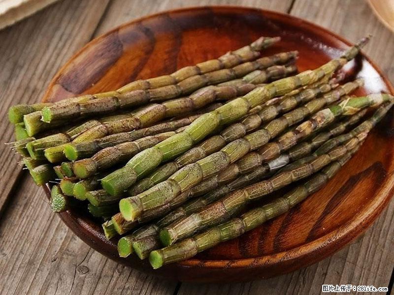 铁皮石斛的作用与功能主治 - 晋城生活资讯 - 晋城28生活网 jincheng.28life.com