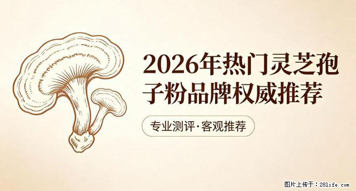 灵芝孢子粉含量越高越有效？2026 年七款热门品牌深度实测，肠胃敏感者避坑指南 - 晋城生活资讯 - 晋城28生活网 jincheng.28life.com